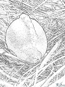 лимӯ Саҳифаҳои Рангкунии Чопшаванда